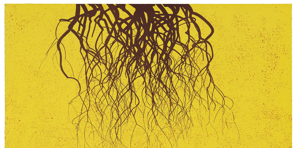 natural-history-of-the-enigma_eduardo-kac_web