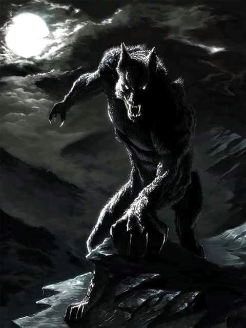 2a8069f59733f74c24fd4bca8de005db