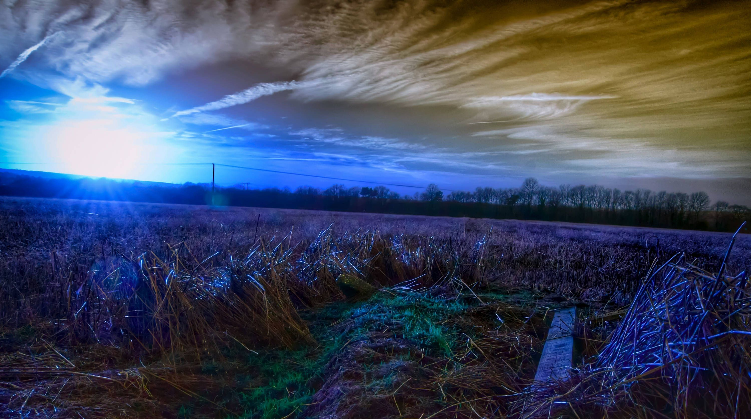 629e7c8e46b323f137066778d614bb50